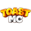 Ikona serwera toastmc.pl